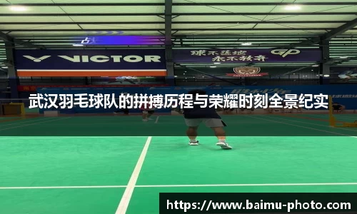 芒果体育APP